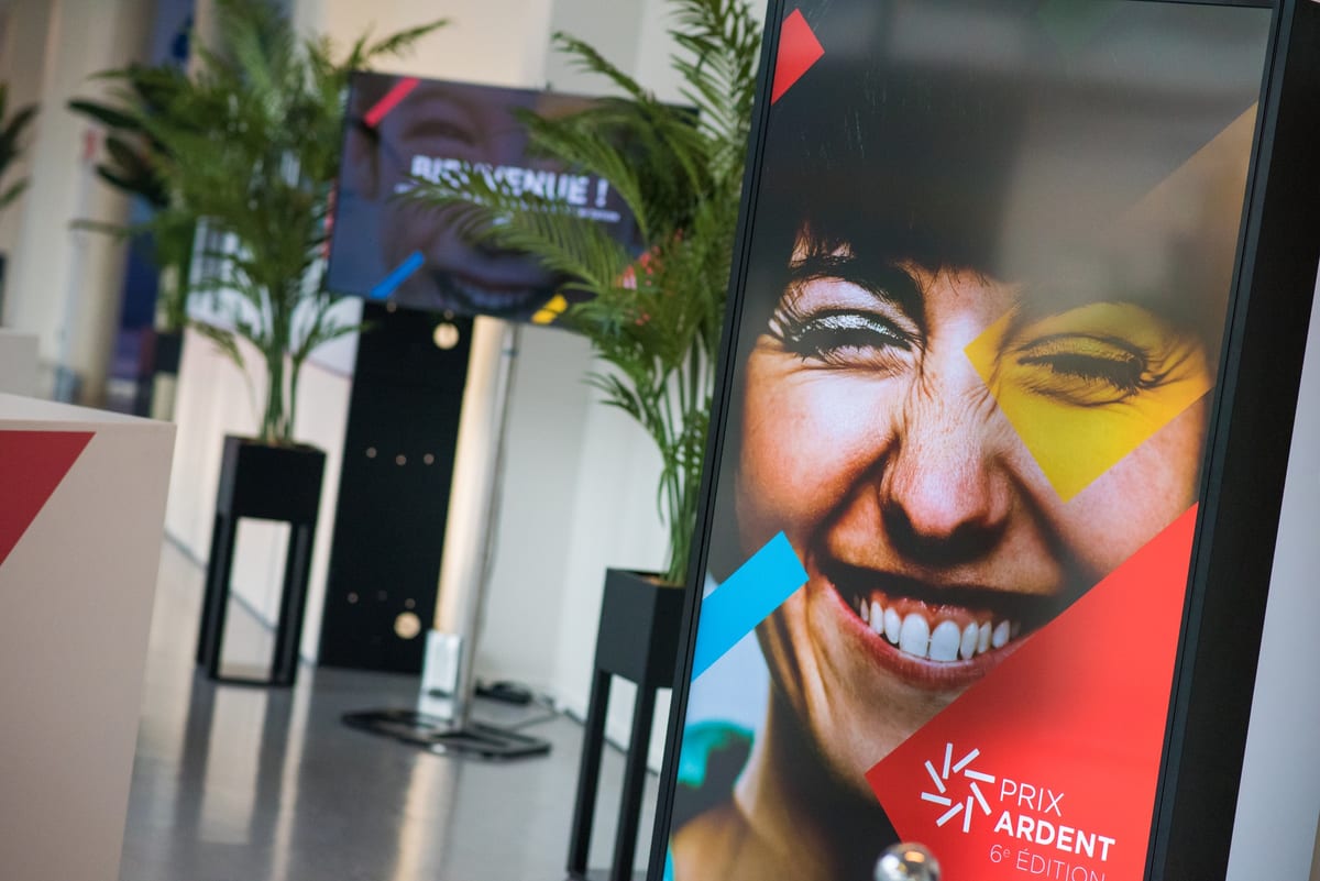 Affiche d'un prix professionnel dans un hall d'accueil, portrait au visage peint aux couleurs belges