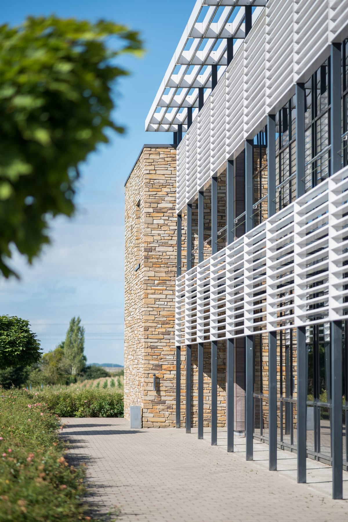 Façade contemporaine en pierre et brise-soleil blancs, vignoble à l'horizon